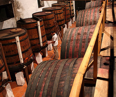 The winery at Vargellas combines both traditional and technically advanced features.  As on the other Taylor estates, the Ports produced on...