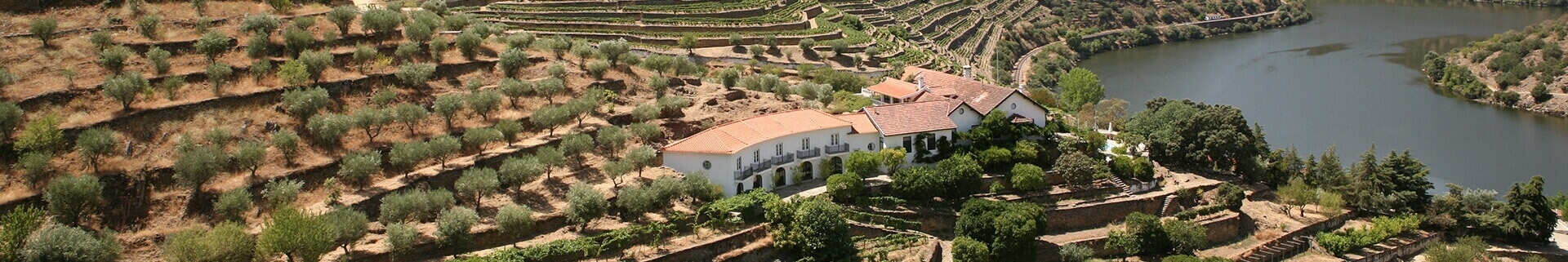 A Quinta de Vargellas ocupa um lugar de destaque entre as quintas do Douro. Localizada no Douro Superior, a zona mais oriental e remota da...