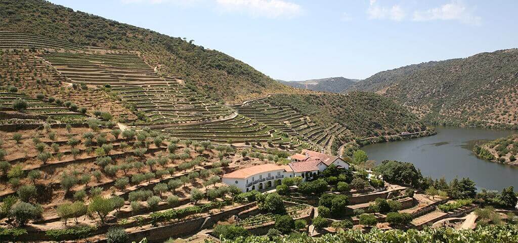 A Quinta de Vargellas ocupa um lugar de destaque entre as quintas do Douro. Localizada no Douro Superior, a zona mais oriental e remota da...